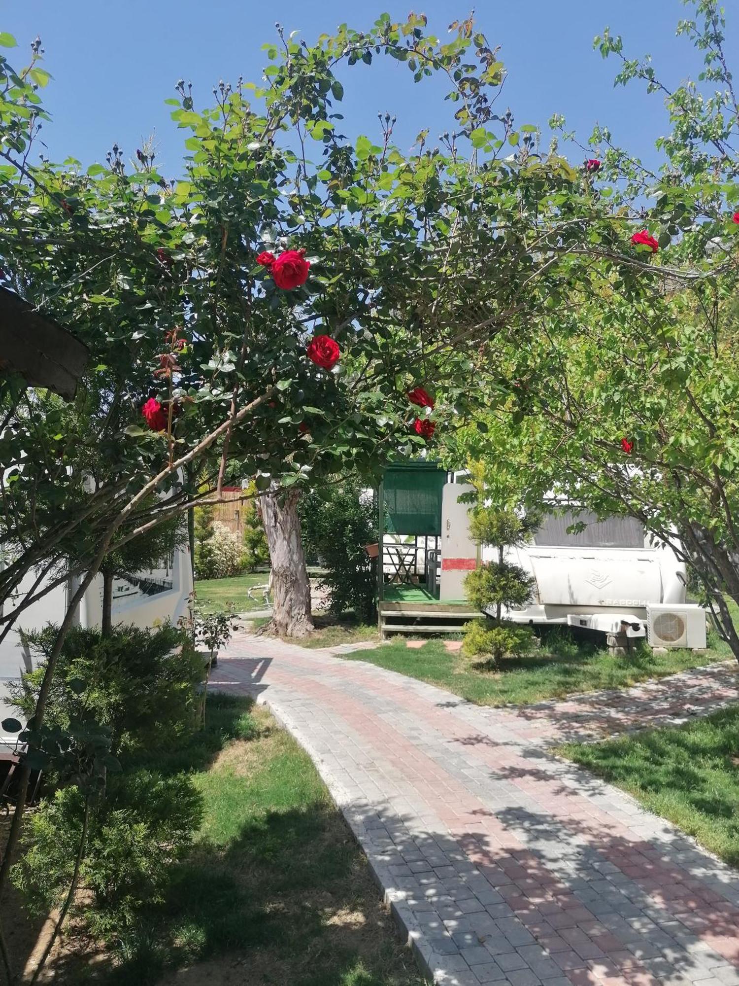 Oba Beach Hotel Ölüdeniz Exterior foto
